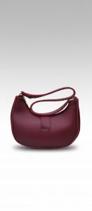 the petite crescent bag